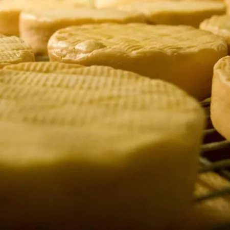 Chic T3 60 M2 Cosy 1 A 6 Personnes Rando, Nature, Bike Park, Station De Appartement *