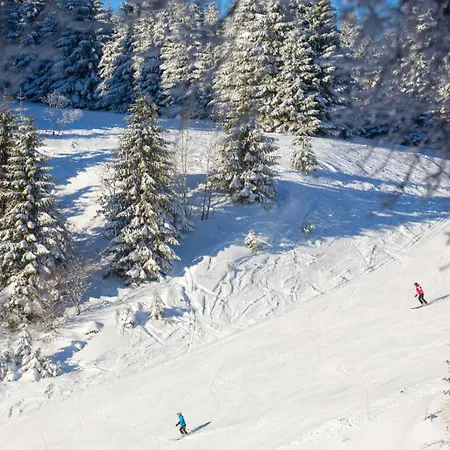 Appartement Chic T3 60 M2 Cosy 1 A 6 Personnes Rando, Nature, Bike Park, Station De Le Bonhomme